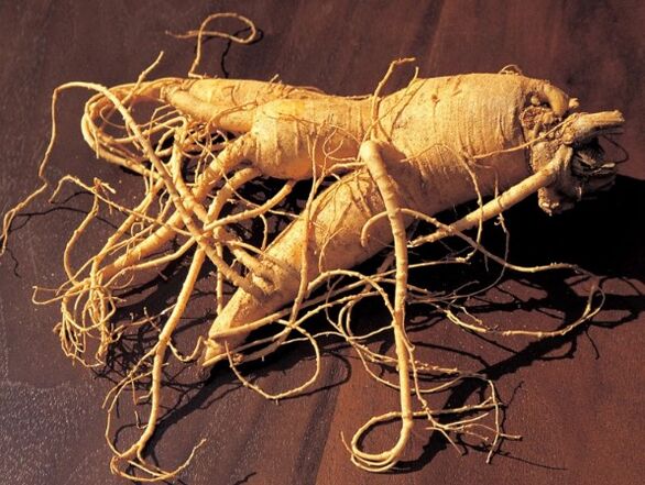 Ginseng rot