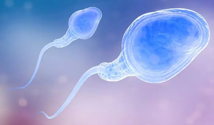 Spermatozoer kan finnas i en mans pre-ejakulat